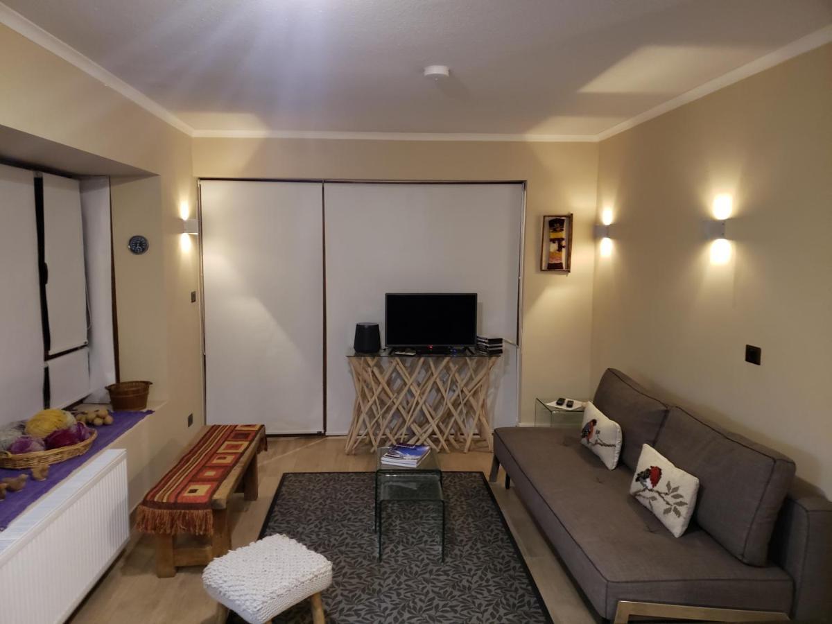 Valle Nevado Vip Apartment Ski Out-In ภายนอก รูปภาพ